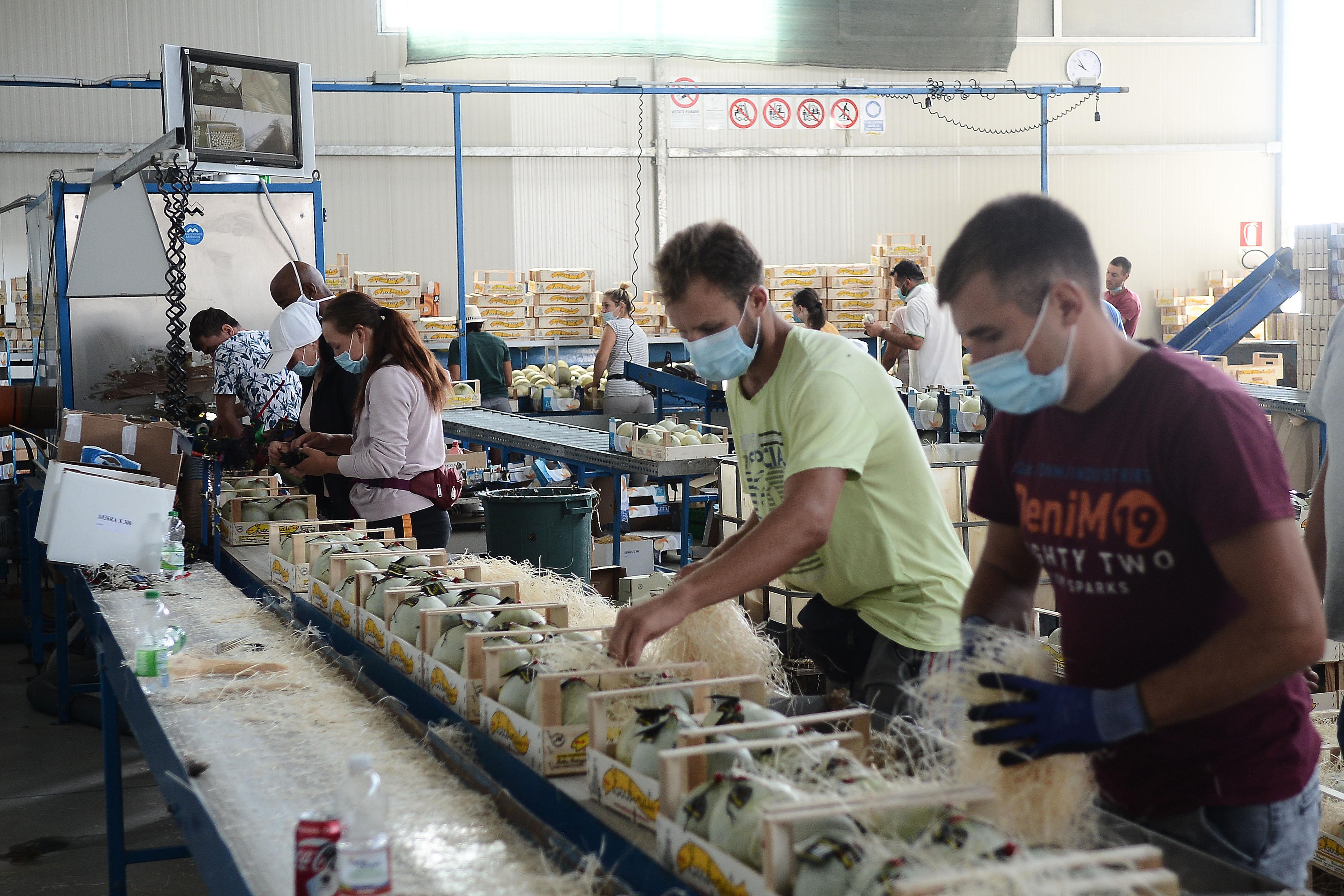 E gli Zerbinati portano a Manhattan la “Ferrari dei meloni” da 40