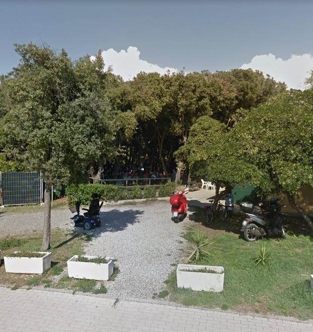 Pubblicato Il Bando Per Gestire Il Parco Di Via Berti Mantellassi Il 