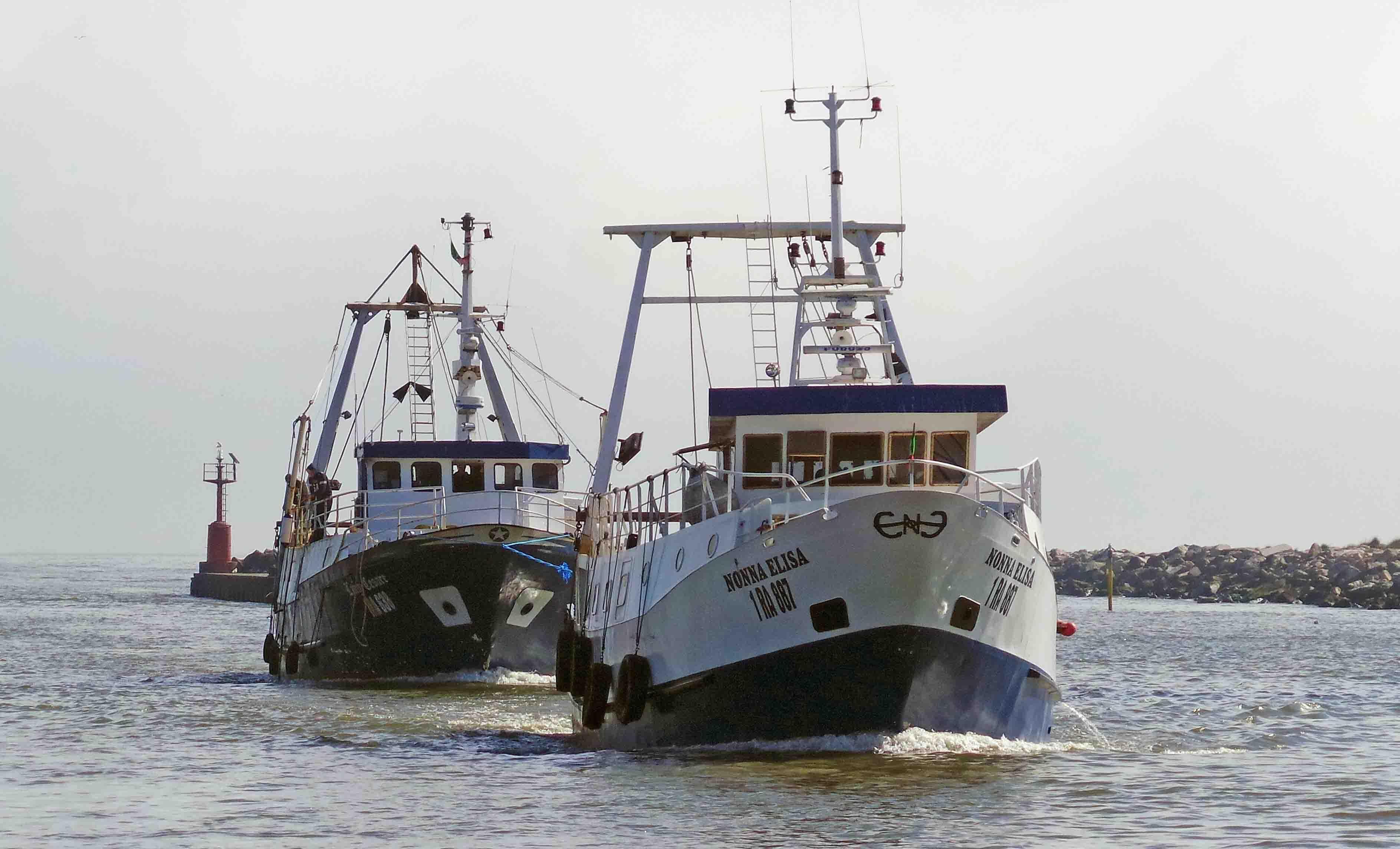 Scatta il fermo pesca in tutto l’Alto Adriatico La Nuova Ferrara