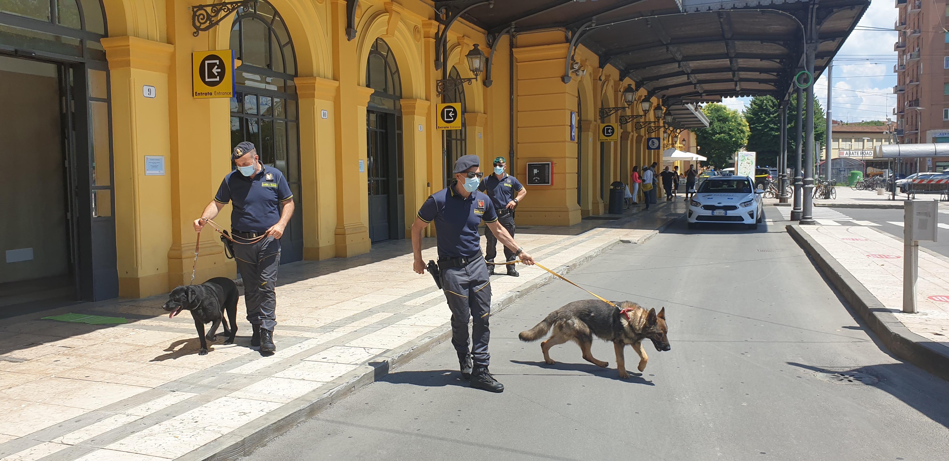 Modena Il Fiuto Di Thor Non Sbaglia Sequestrati Dalla Finanza Due 