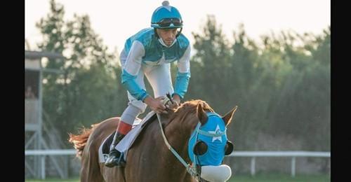 Morto il fantino sardo caduto da cavallo in una corsa a Pisa - La Nuova ...