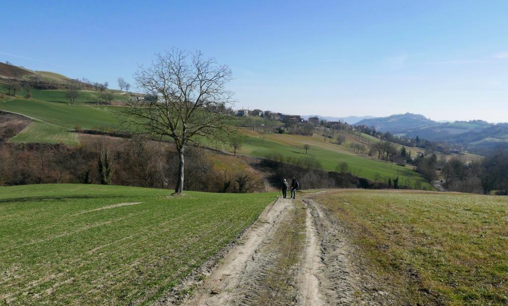 Sentieri Di Viano Rinnovata La Convenzione Per La Manutenzione Tra Il 