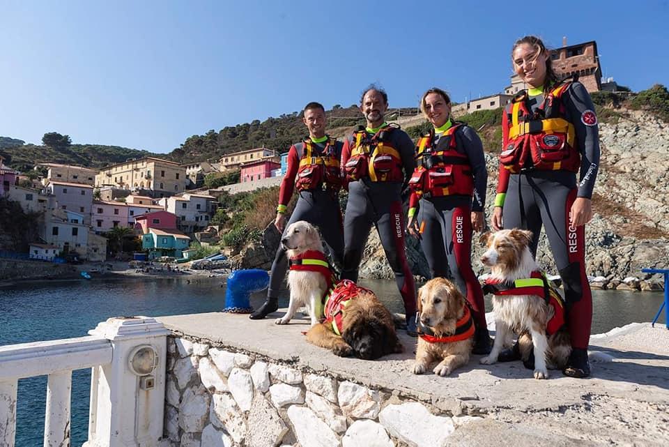 Kiwistar - Kit Magnetico Per Cani Di Salvataggio: Adesivo Rimovibile Per Auto, Alta Velocità (150 Km/h), Resistente Agli Agenti Atmosferici