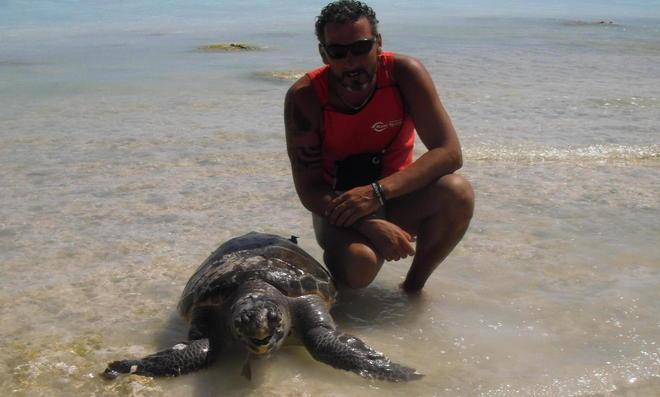 Trovata carcassa di tartaruga marina - Il Tirreno