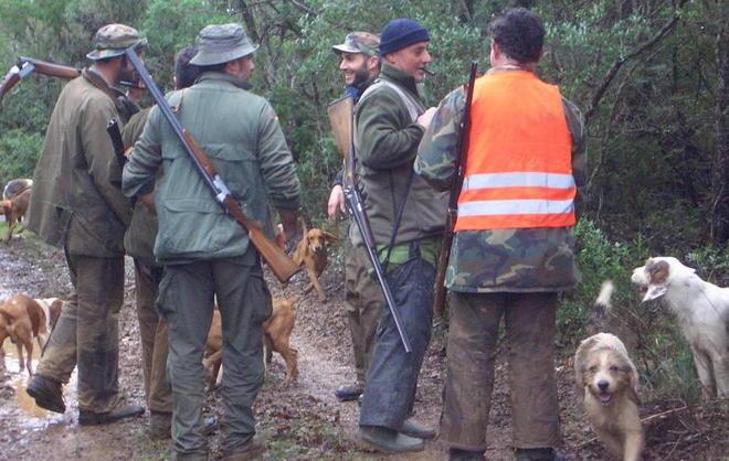 Caccia al cinghiale, minimo in diciotto alle battute future - Il Tirreno