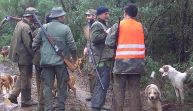 CACCIA ILLIMITATA 2010 PC CD-ROM Per Windows XP/Vista NUOVO - Foto 2