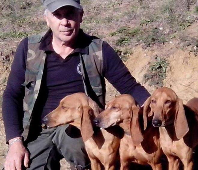 Rubano cinque segugi da lepre e