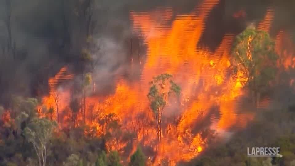 Australia, grosso incendio divora il Queensland: le immagini dall'alto