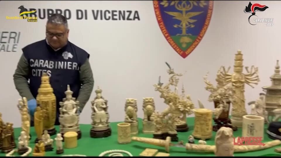 Ancona, sequestrate opere d'arte in avorio a organizzazione criminale cinese