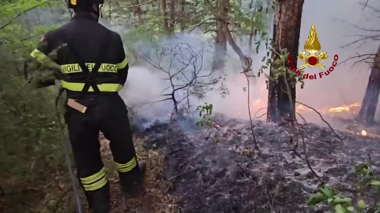 Incendio nel bosco di Santa Sofia, vigili del fuoco al lavoro tutta la notte