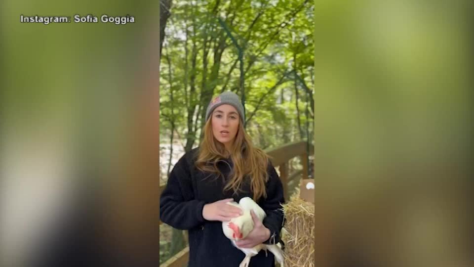 Sofia Goggia imita Francesca Fagnani: il video con le galline livornesi è esilarante