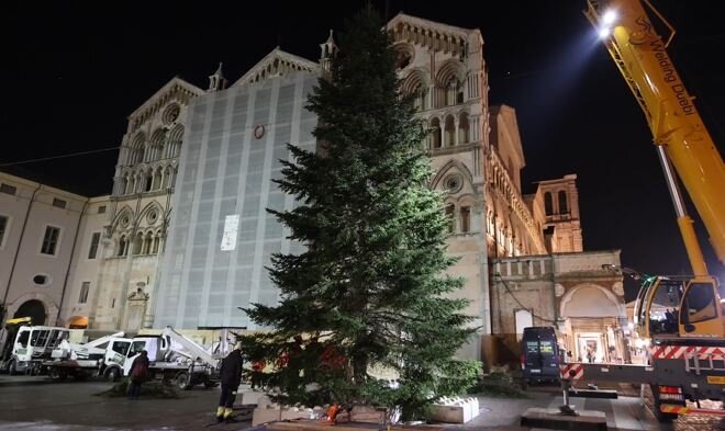 Natale a Ferrara, l'albero in piazza della Cattedrale
