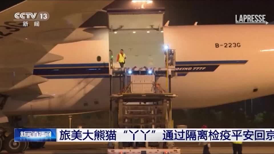 Cina, il panda Ya Ya è arrivato a Pechino