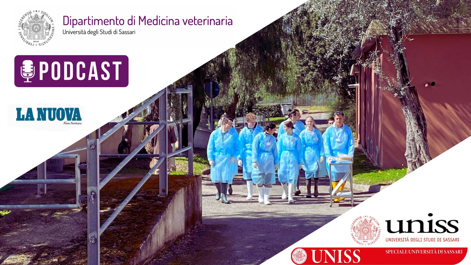 Università di Sassari, i podcast: dipartimento di Medicina veterinaria